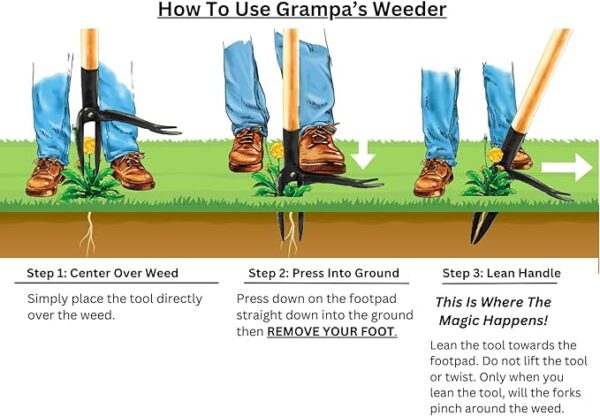 Grampa's Weeder - The Original Stand Up Weed Puller Tool with Long Handle - Image 3