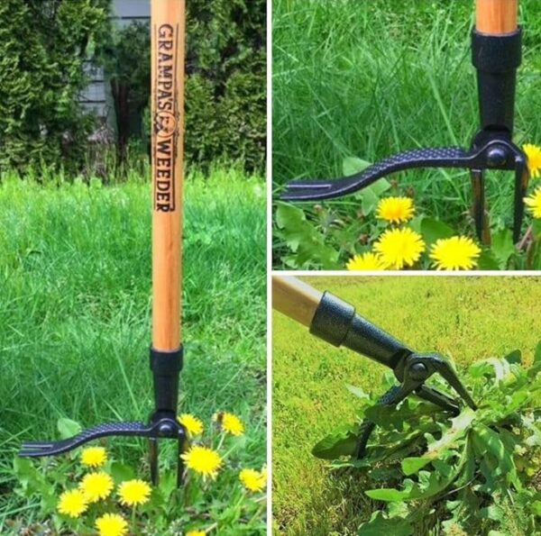 Grampa's Weeder - The Original Stand Up Weed Puller Tool with Long Handle - Image 4