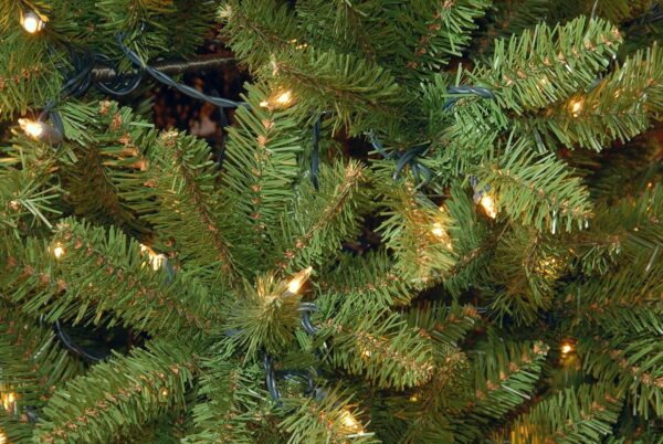 Christmas Tree, Green, Kingswood Fir, White Lights, Includes Stand, 6.5 Feet - Image 3