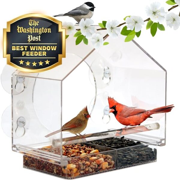 Nature Anywhere Transparent Acrylic Window Bird Feeders for Outdoors