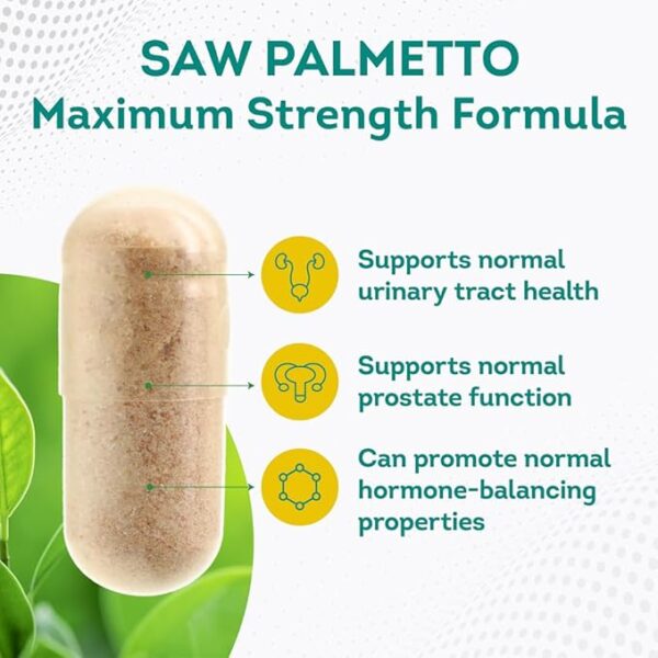 Premium Saw Palmetto 500 mg for Men & Women - Image 6
